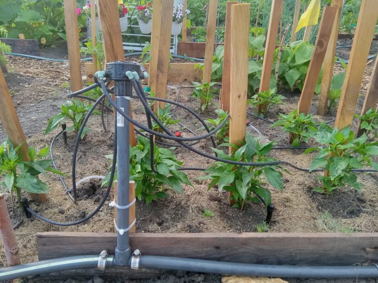 Maximize Your Garden’s Potential with a Drip Irrigation System