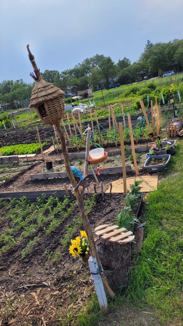 Get the Scoop: The Top 10 Things About Community Gardens You Need to Know