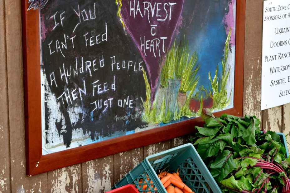 Harvest a Heart Aug 12 2023 Calvin Fehr Photo 163