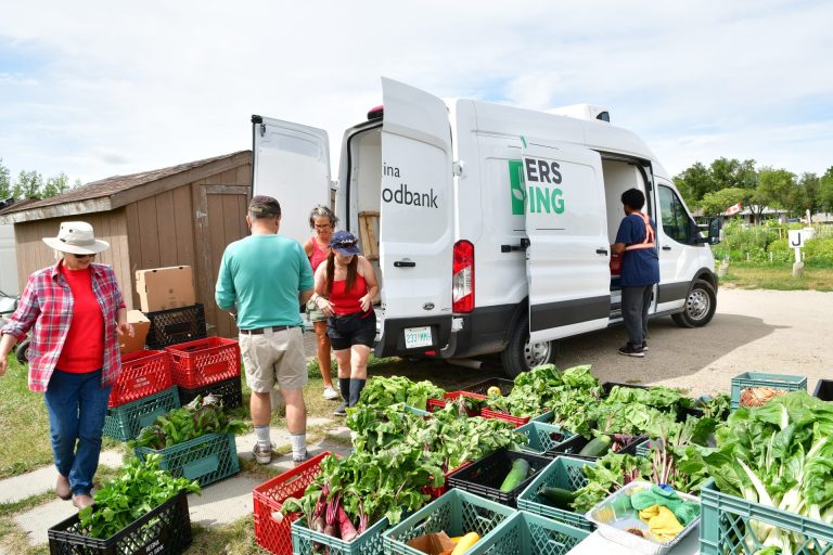 From Garden to Table: How South Zone Community Gardens Helps Those in Need